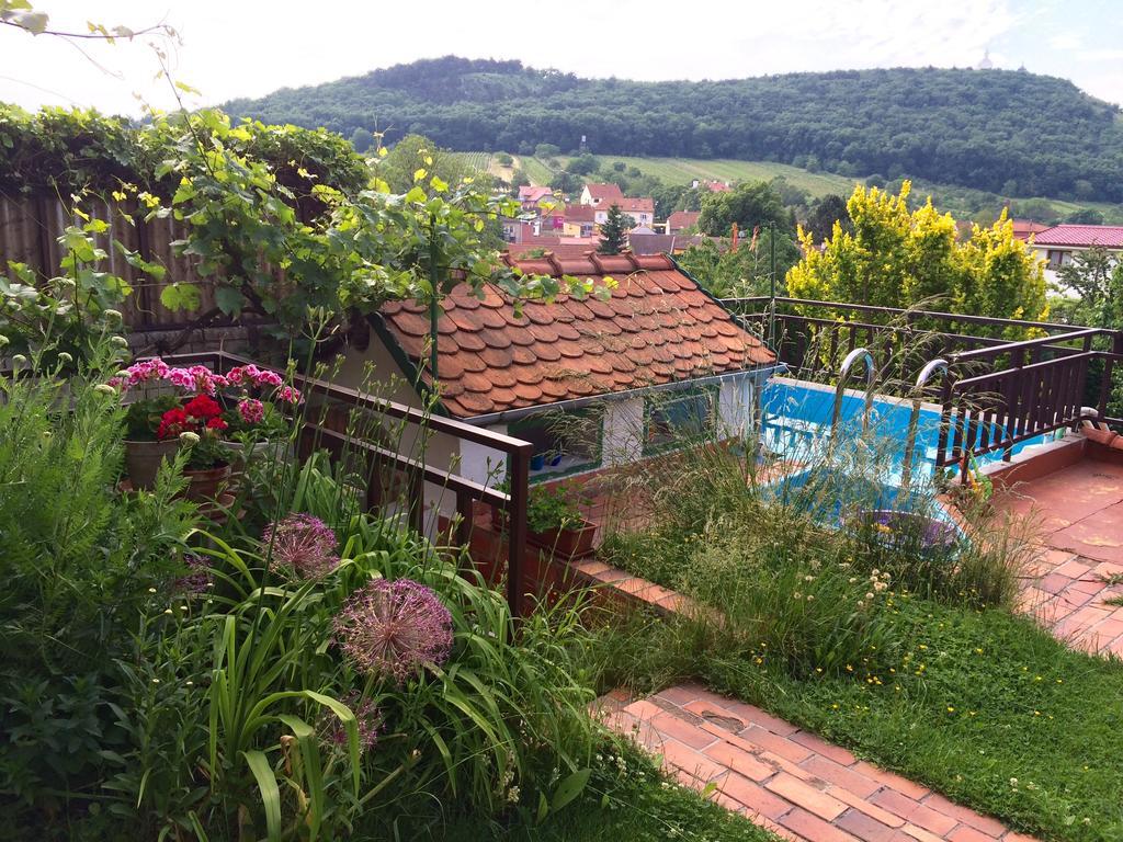 Pension Crhan Mikulov Buitenkant foto