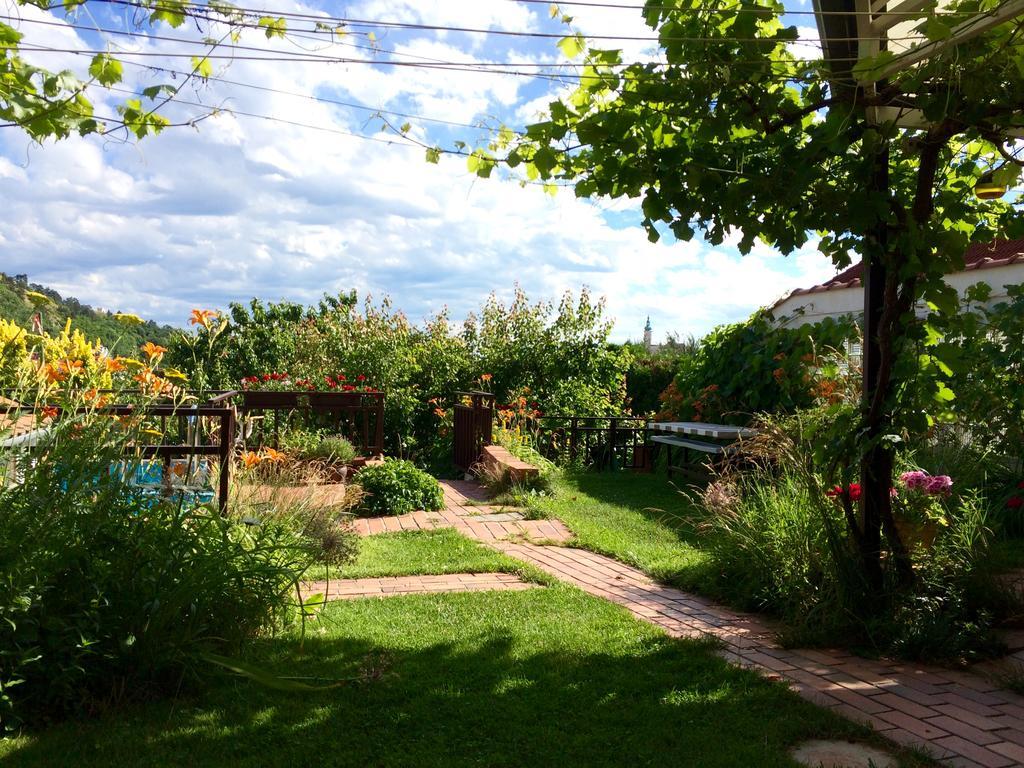 Pension Crhan Mikulov Buitenkant foto